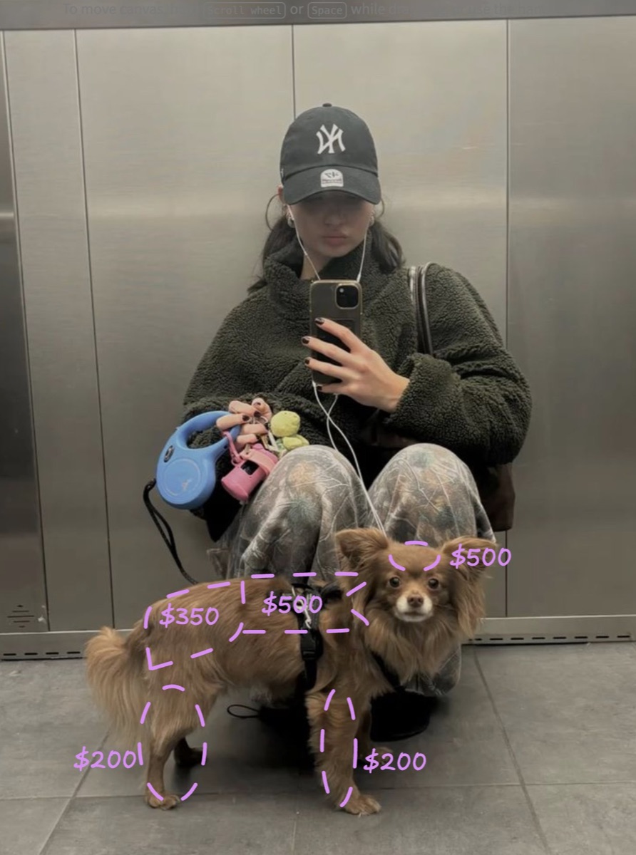 A mirror selfie in a lift of the creator crouching beside Lili, a small long-haired brown chihuahua, with hand-drawn purple outlines pricing her head at $500, her body at $500, her back at $350 and each leg at $200. Photo from the launch post.
