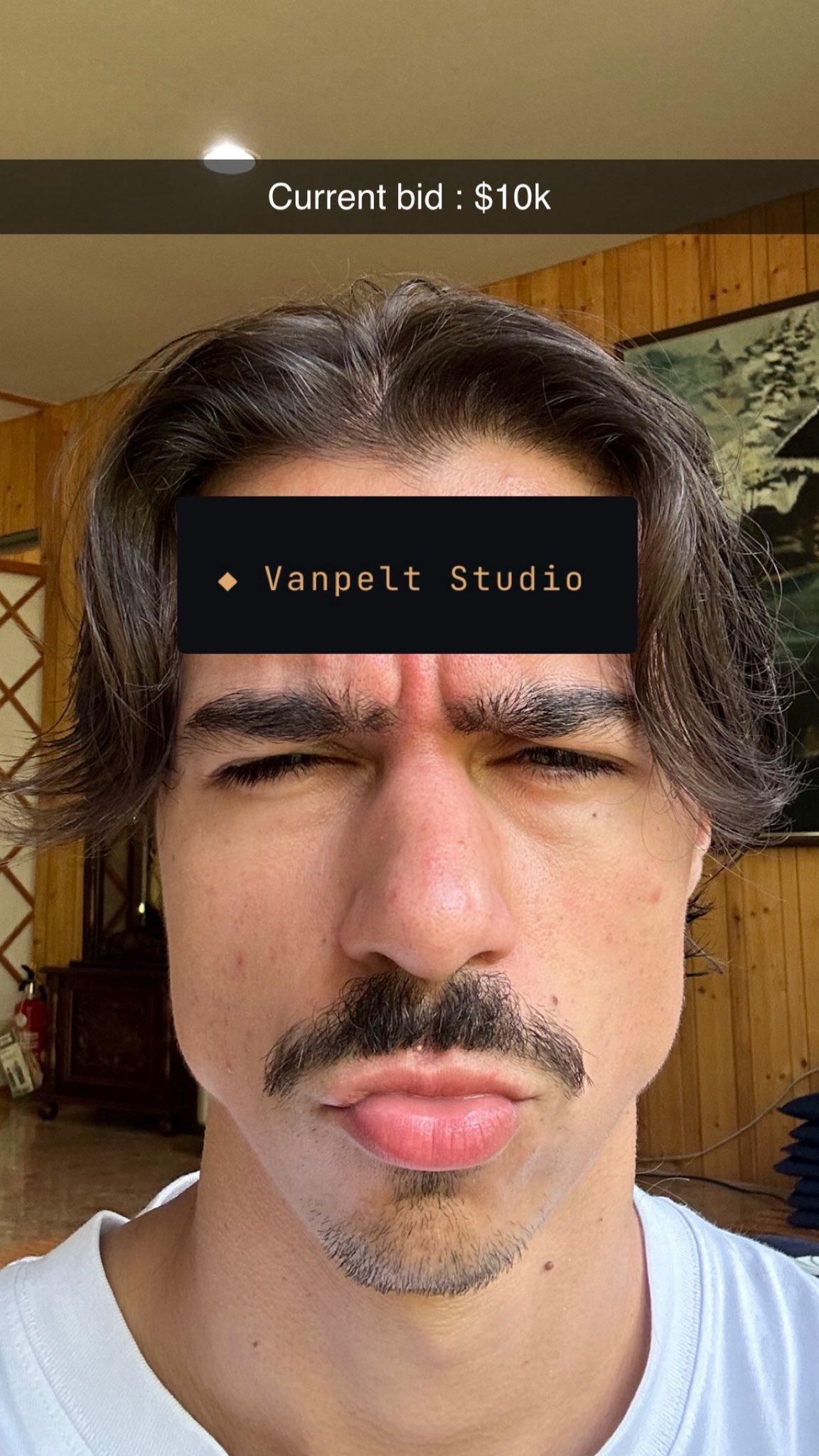 Image from @VanpeltVentures's post.